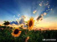 山西熙慧童商贸有限公司