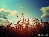 山西熙慧童商贸有限公司