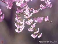 山西熙慧童商贸有限公司