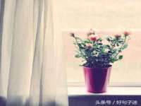 山西熙慧童商贸有限公司