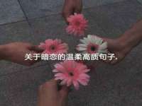 山西熙慧童商贸有限公司