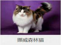 山西熙慧童商贸有限公司