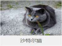 山西熙慧童商贸有限公司