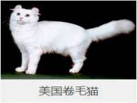 山西熙慧童商贸有限公司