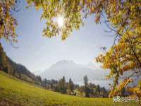 山西熙慧童商贸有限公司