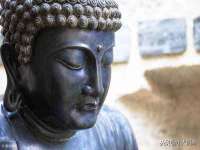 山西熙慧童商贸有限公司