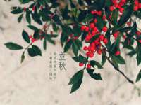 山西熙慧童商贸有限公司