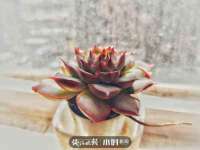 山西熙慧童商贸有限公司