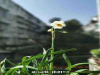 山西熙慧童商贸有限公司