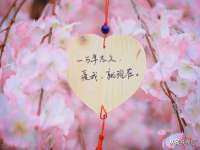 山西熙慧童商贸有限公司