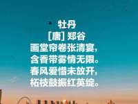 山西熙慧童商贸有限公司