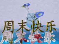 山西熙慧童商贸有限公司