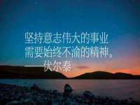 山西熙慧童商贸有限公司