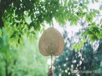山西熙慧童商贸有限公司
