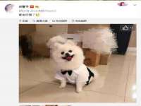 山西熙慧童商贸有限公司