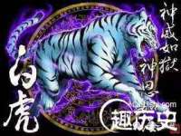 山西熙慧童商贸有限公司