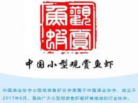 山西熙慧童商贸有限公司