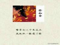 山西熙慧童商贸有限公司