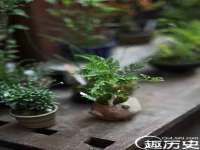 山西熙慧童商贸有限公司