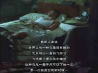 山西熙慧童商贸有限公司