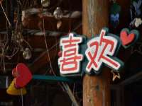 山西熙慧童商贸有限公司