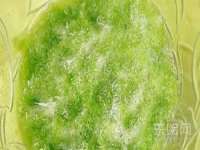 山西熙慧童商贸有限公司
