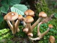 山西熙慧童商贸有限公司