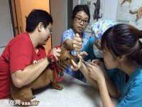 山西熙慧童商贸有限公司
