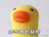 山西熙慧童商贸有限公司